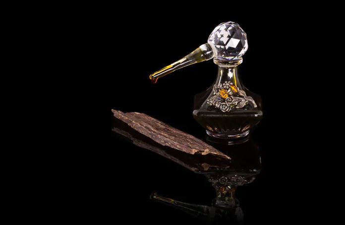 Oud Oil Perfumes for Girls The Ultimate Guide to the World's Most Luxurious Scent